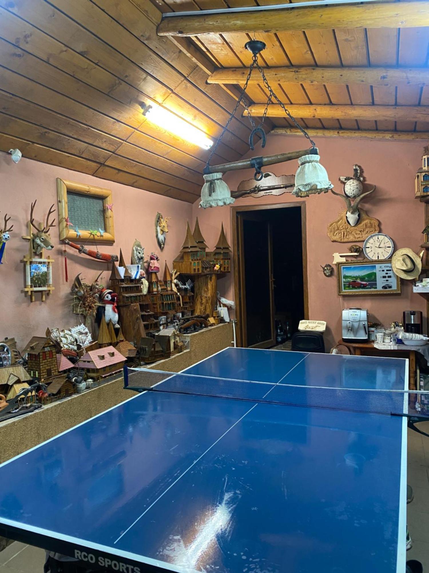 Cabanuta Cu Teren De Tenis Banita 외부 사진